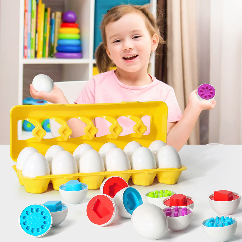 Educational Egg Shape Matching Toy